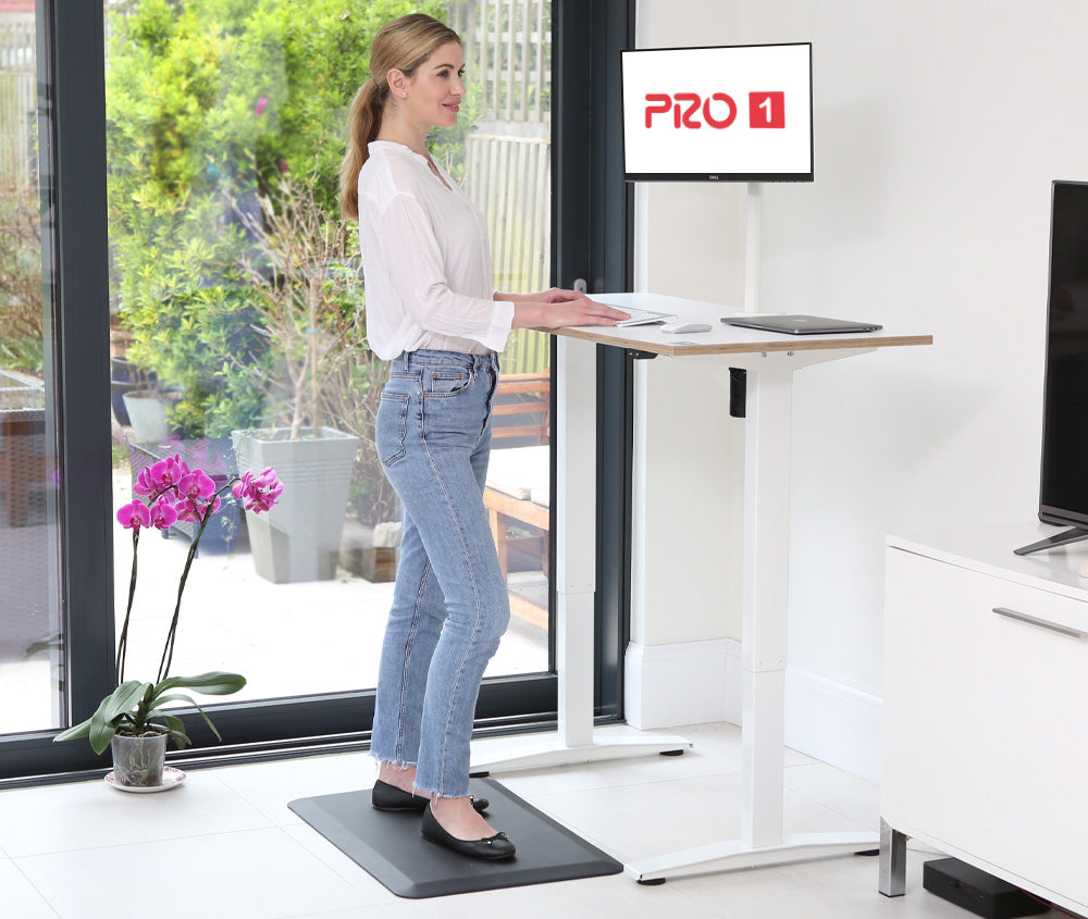 Yo-Yo Desk Pro 1