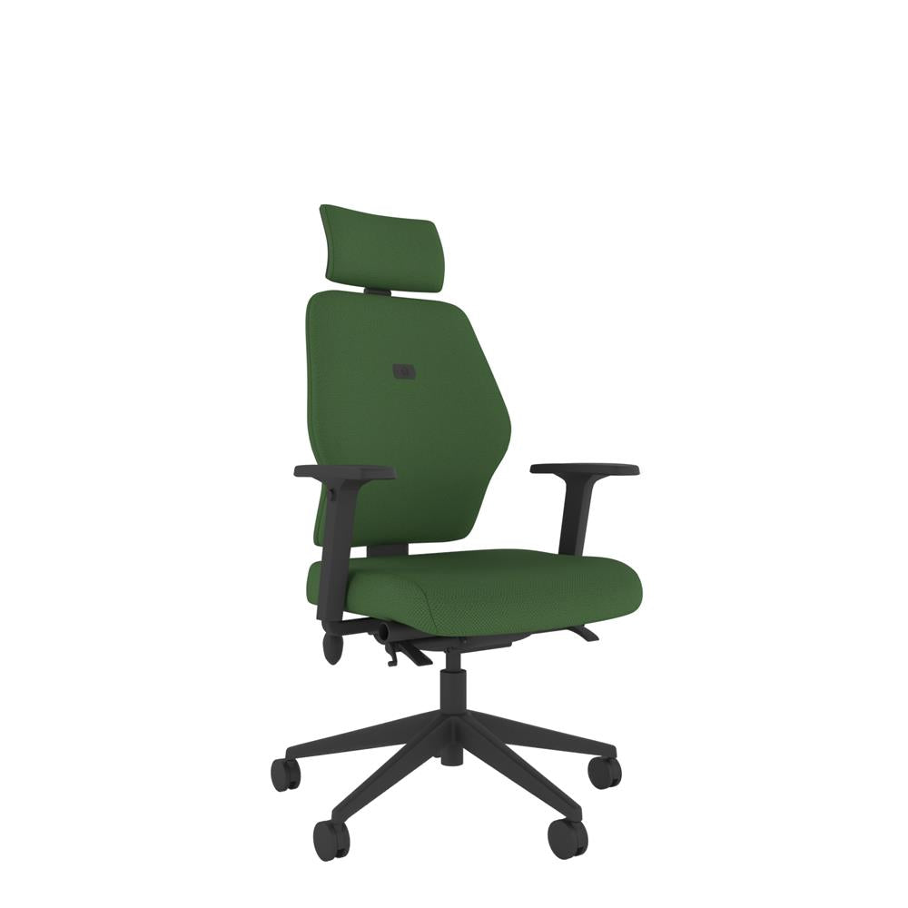 SL254 Medium Back With Headrest and Multi-Functional Arms in green with black base