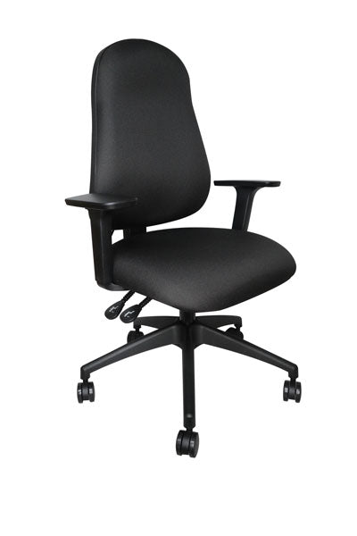 Domus 20 Ergonomic Chair
