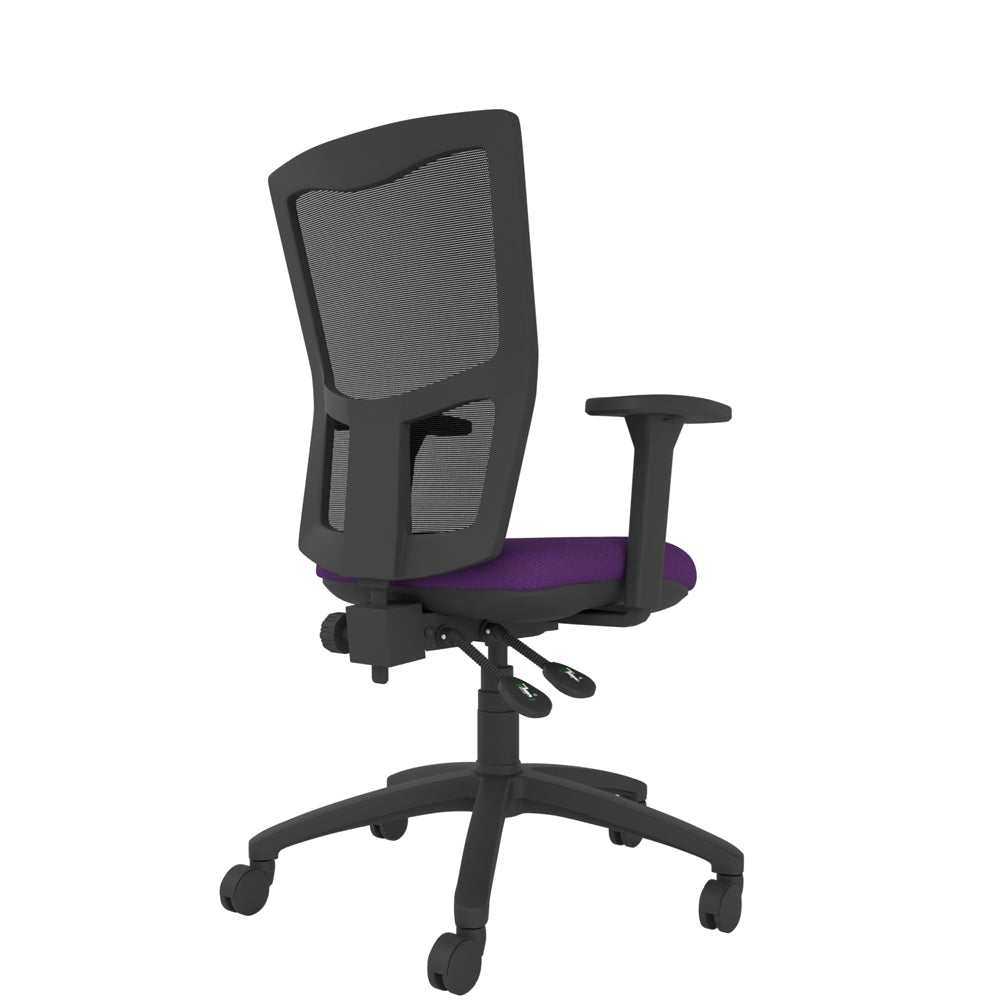CT300 Contract Mesh Back