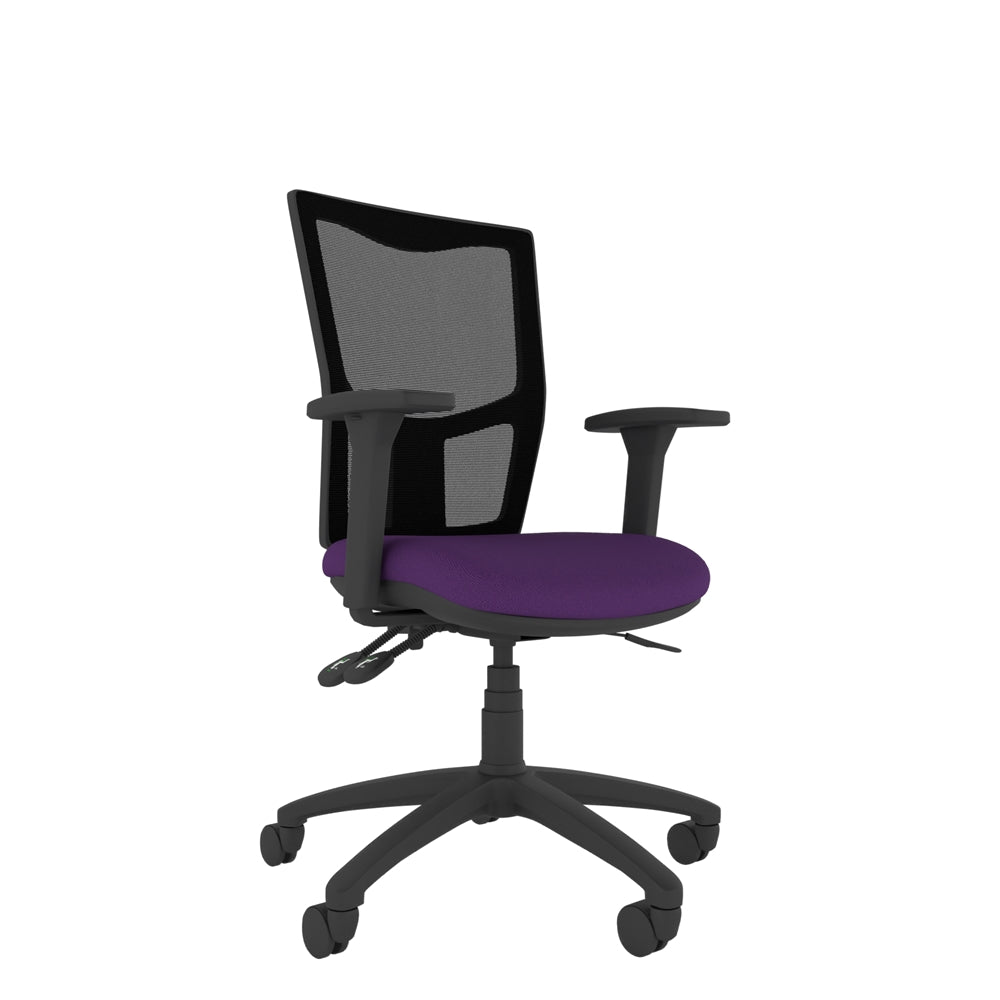 CT300 Contract Mesh Back