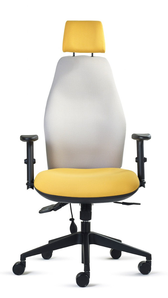 Zen High Back Task Chair, ergonomic lumbar support